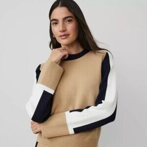 Ann Taylor Colorblock Sweater